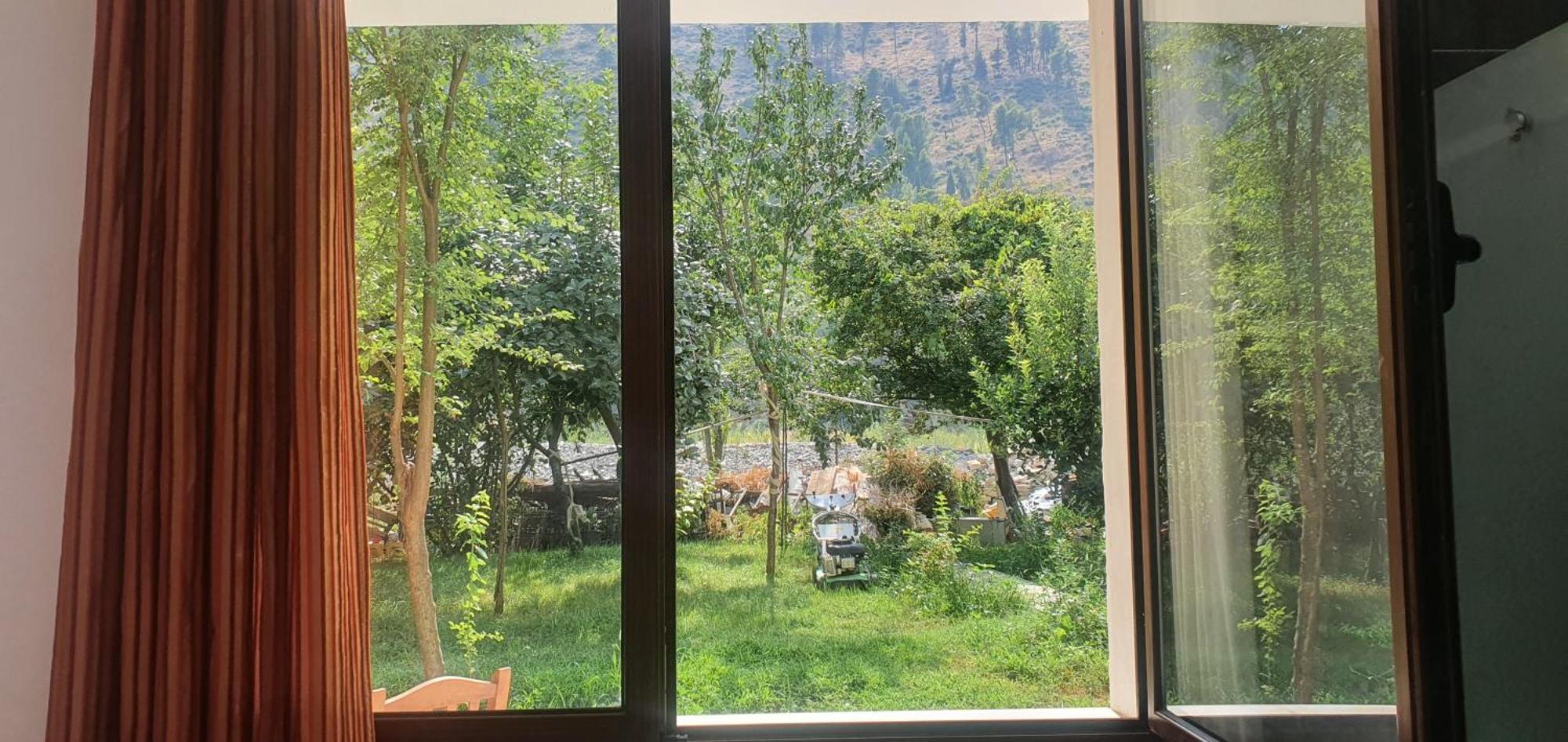Xho's Forest Guest house *