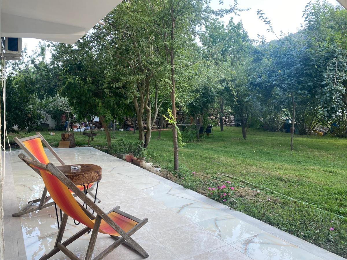 Xho's Forest Gasthof Berat